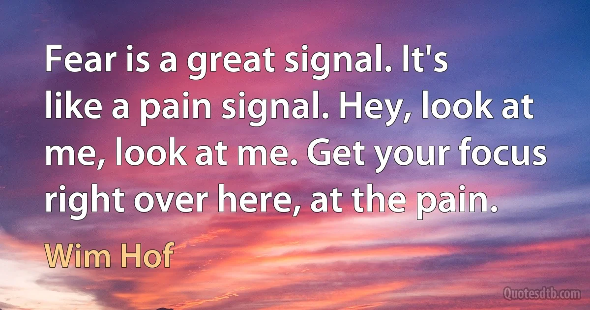 Fear is a great signal. It's like a pain signal. Hey, look at me, look at me. Get your focus right over here, at the pain. (Wim Hof)