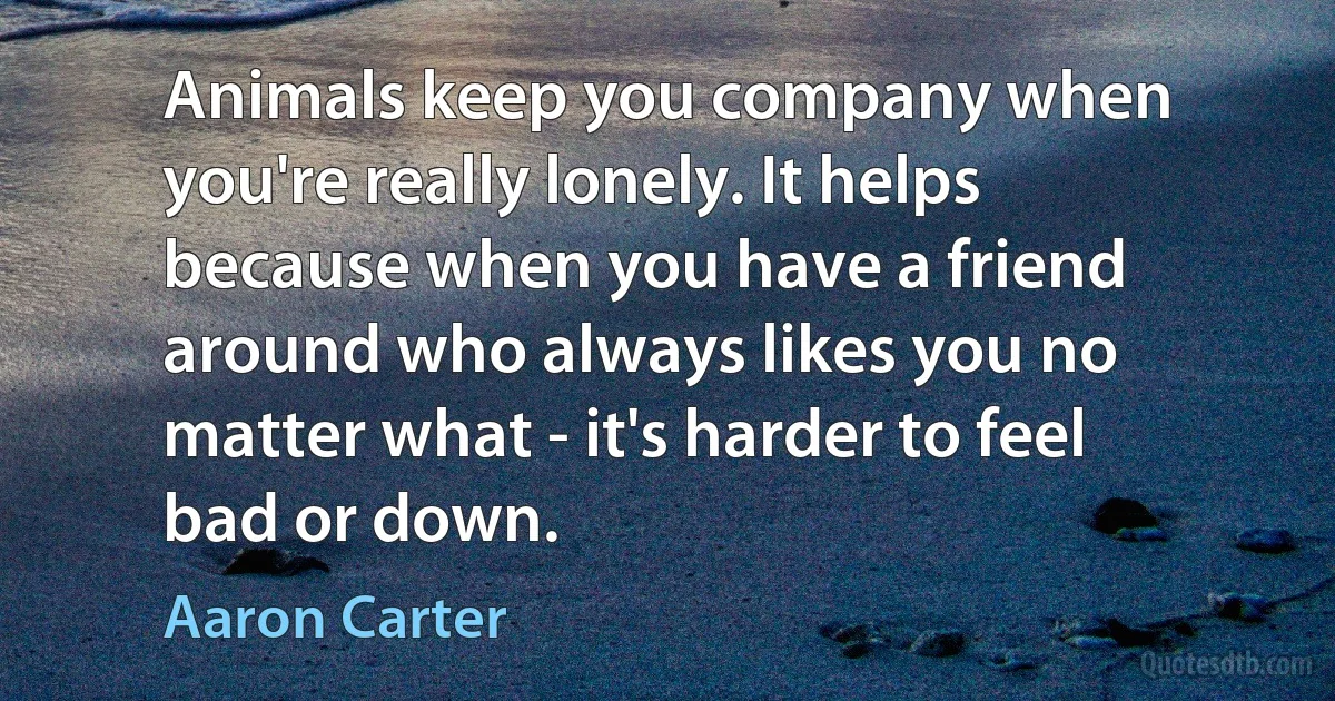 Animals keep you company when you're really lonely. It helps because when you have a friend around who always likes you no matter what - it's harder to feel bad or down. (Aaron Carter)