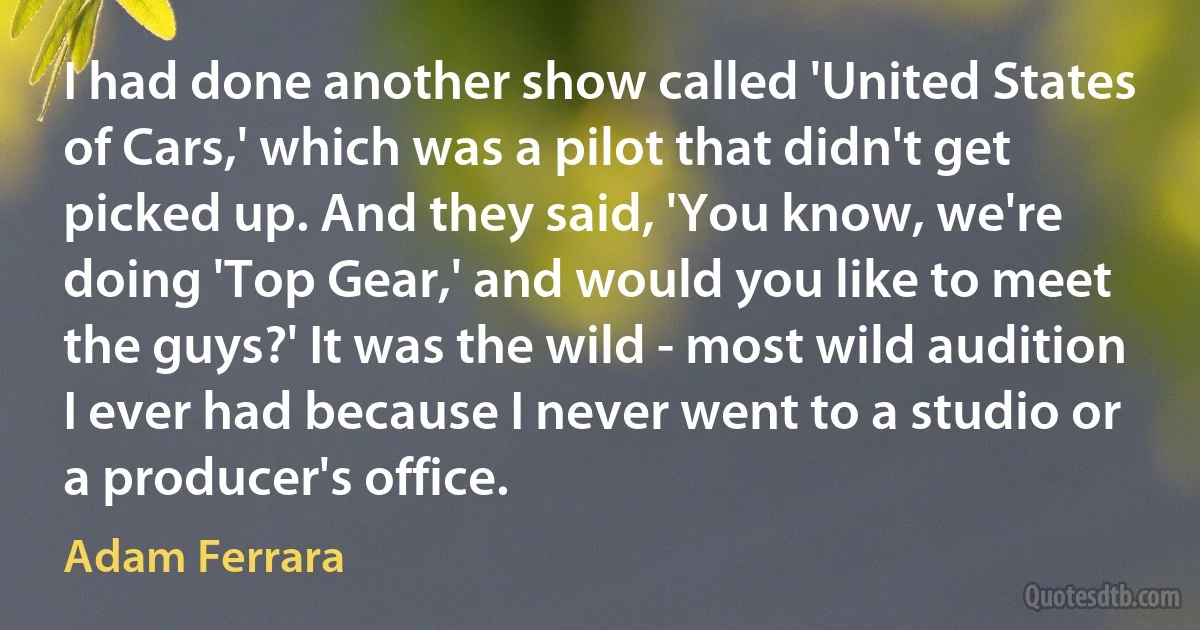 I had done another show called 'United States of Cars,' which was a pilot that didn't get picked up. And they said, 'You know, we're doing 'Top Gear,' and would you like to meet the guys?' It was the wild - most wild audition I ever had because I never went to a studio or a producer's office. (Adam Ferrara)