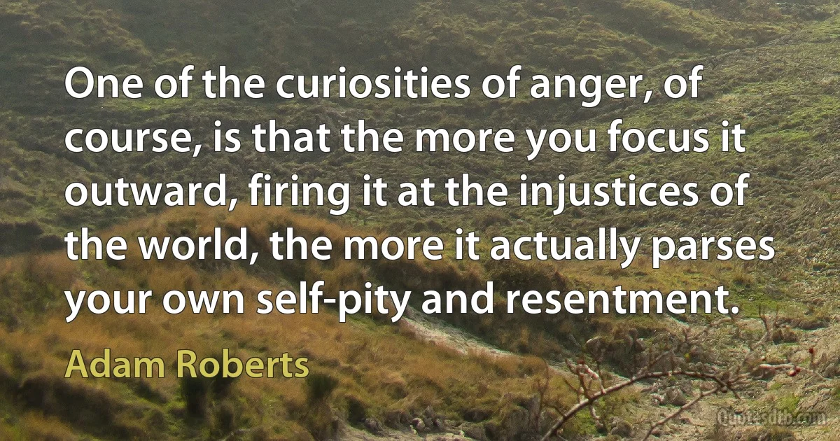 One of the curiosities of anger, of course, is that the more you focus it outward, firing it at the injustices of the world, the more it actually parses your own self-pity and resentment. (Adam Roberts)