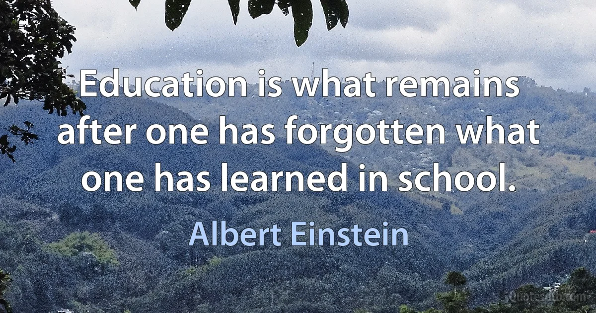 Education is what remains after one has forgotten what one has learned in school. (Albert Einstein)