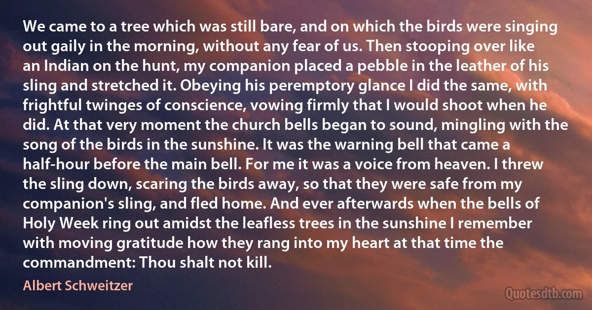 We came to a tree which was still bare, and on which the birds were singing out gaily in the morning, without any fear of us. Then stooping over like an Indian on the hunt, my companion placed a pebble in the leather of his sling and stretched it. Obeying his peremptory glance I did the same, with frightful twinges of conscience, vowing firmly that I would shoot when he did. At that very moment the church bells began to sound, mingling with the song of the birds in the sunshine. It was the warning bell that came a half-hour before the main bell. For me it was a voice from heaven. I threw the sling down, scaring the birds away, so that they were safe from my companion's sling, and fled home. And ever afterwards when the bells of Holy Week ring out amidst the leafless trees in the sunshine I remember with moving gratitude how they rang into my heart at that time the commandment: Thou shalt not kill. (Albert Schweitzer)