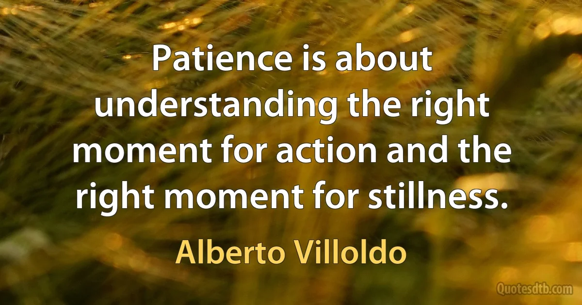 Patience is about understanding the right moment for action and the right moment for stillness. (Alberto Villoldo)