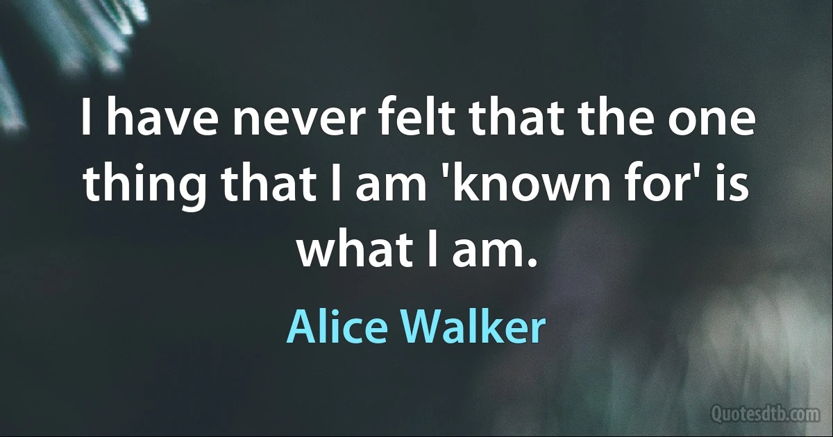 I have never felt that the one thing that I am 'known for' is what I am. (Alice Walker)