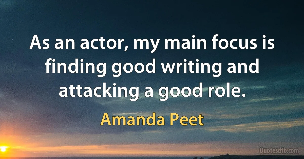 As an actor, my main focus is finding good writing and attacking a good role. (Amanda Peet)