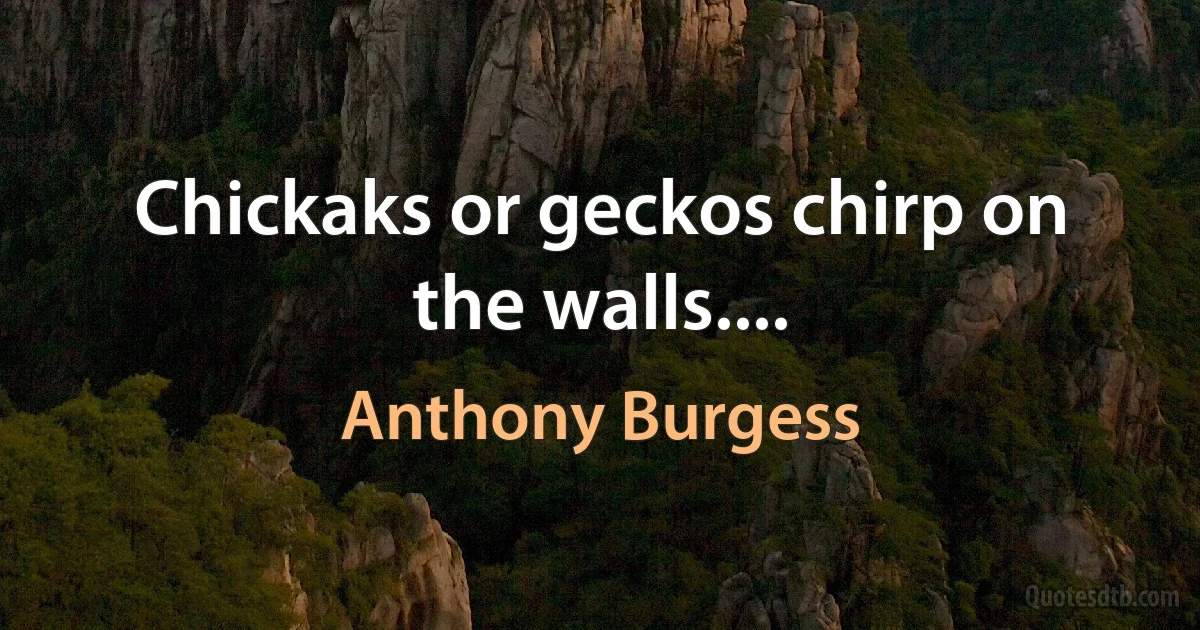 Chickaks or geckos chirp on the walls.... (Anthony Burgess)