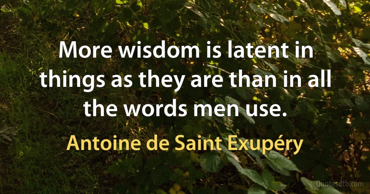 More wisdom is latent in things as they are than in all the words men use. (Antoine de Saint Exupéry)