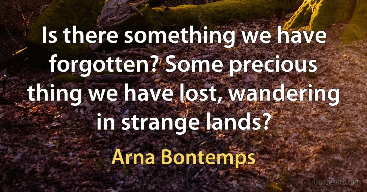 Is there something we have forgotten? Some precious thing we have lost, wandering in strange lands? (Arna Bontemps)