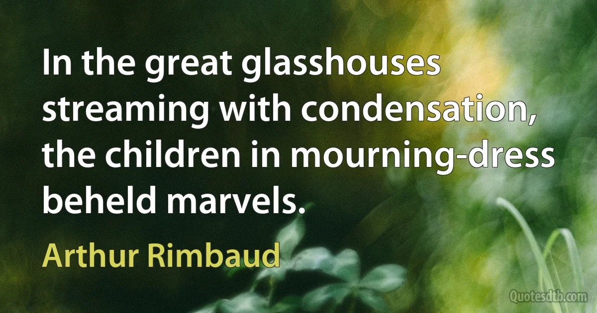 In the great glasshouses streaming with condensation, the children in mourning-dress beheld marvels. (Arthur Rimbaud)