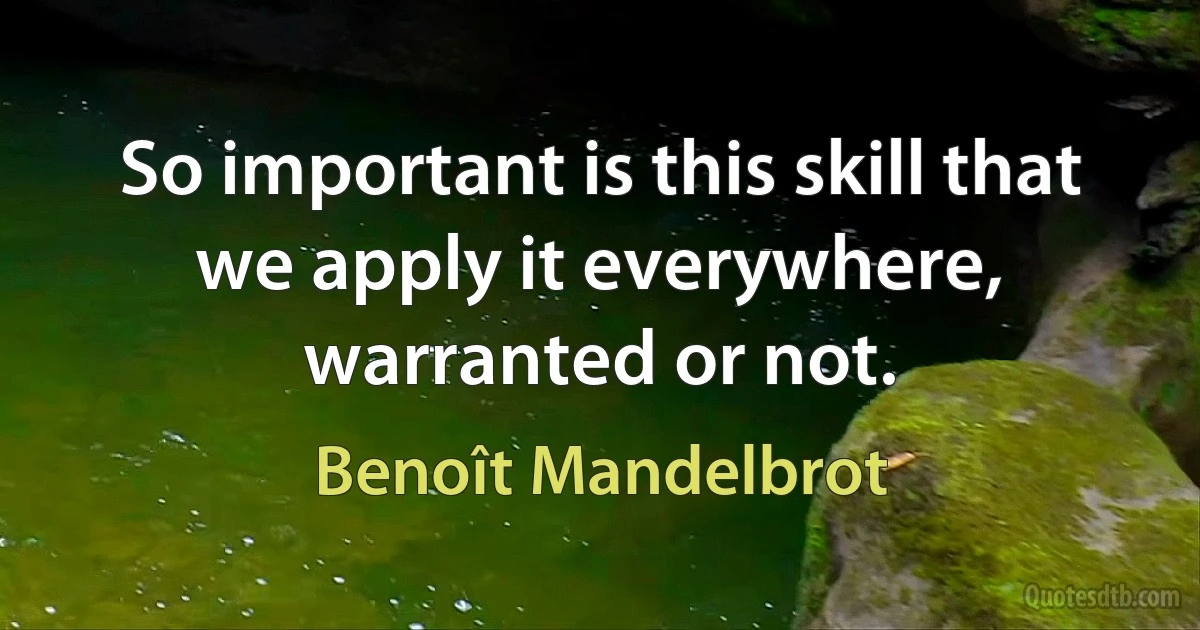 So important is this skill that we apply it everywhere, warranted or not. (Benoît Mandelbrot)