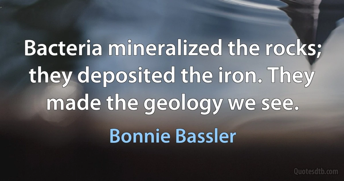 Bacteria mineralized the rocks; they deposited the iron. They made the geology we see. (Bonnie Bassler)