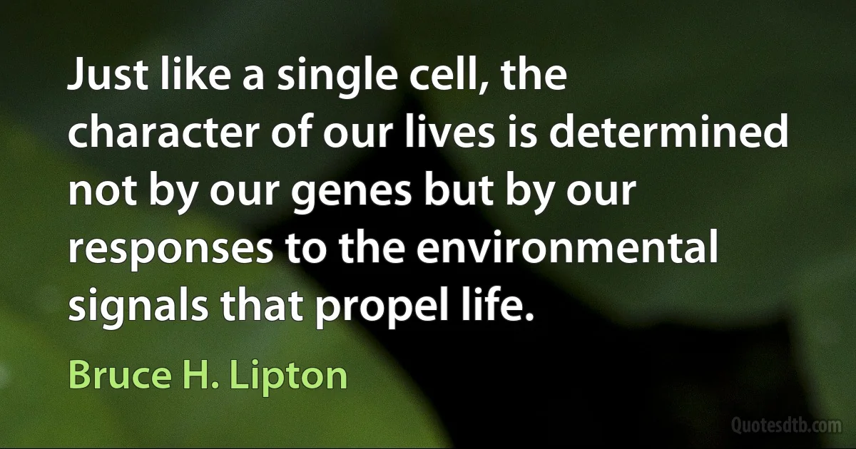 Just like a single cell, the character of our lives is determined not by our genes but by our responses to the environmental signals that propel life. (Bruce H. Lipton)