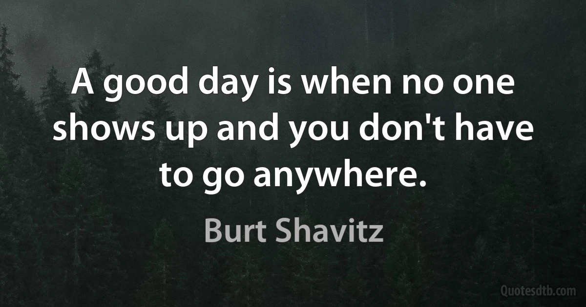 A good day is when no one shows up and you don't have to go anywhere. (Burt Shavitz)