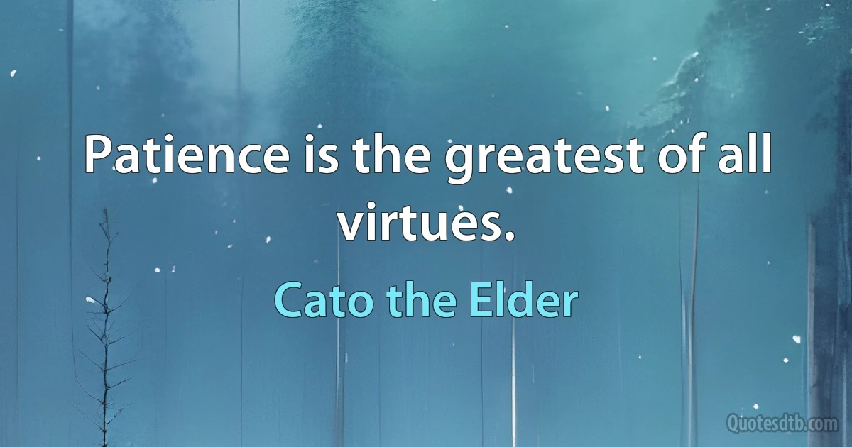 Patience is the greatest of all virtues. (Cato the Elder)