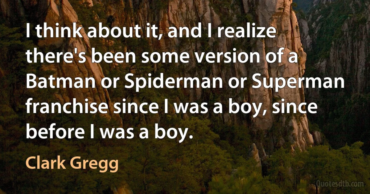 I think about it, and I realize there's been some version of a Batman or Spiderman or Superman franchise since I was a boy, since before I was a boy. (Clark Gregg)