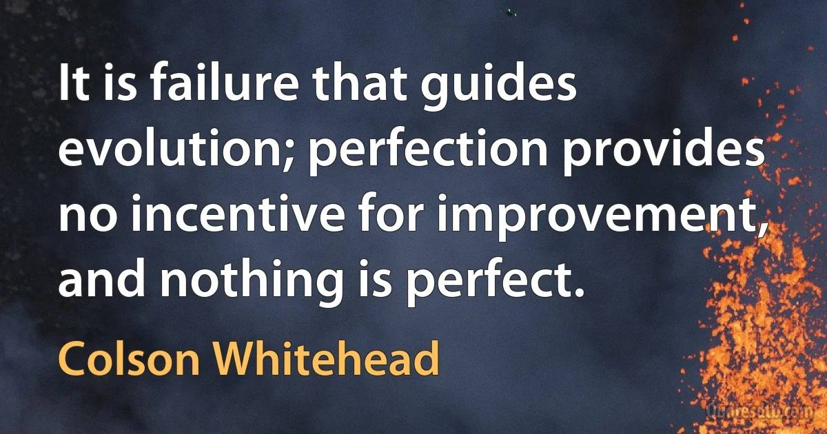 It is failure that guides evolution; perfection provides no incentive for improvement, and nothing is perfect. (Colson Whitehead)