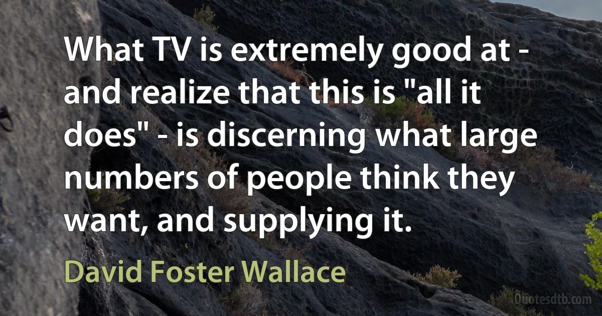 What TV is extremely good at - and realize that this is "all it does" - is discerning what large numbers of people think they want, and supplying it. (David Foster Wallace)