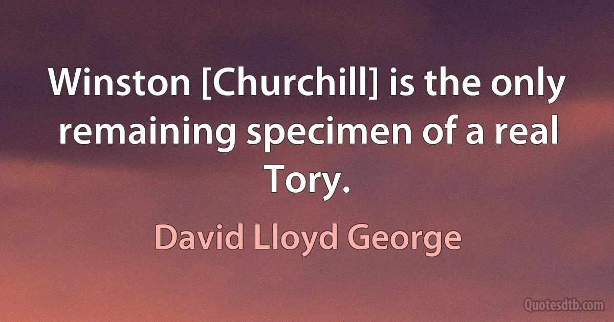 Winston [Churchill] is the only remaining specimen of a real Tory. (David Lloyd George)