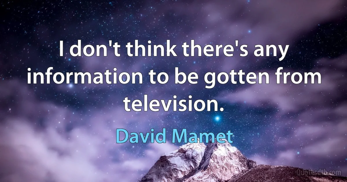 I don't think there's any information to be gotten from television. (David Mamet)