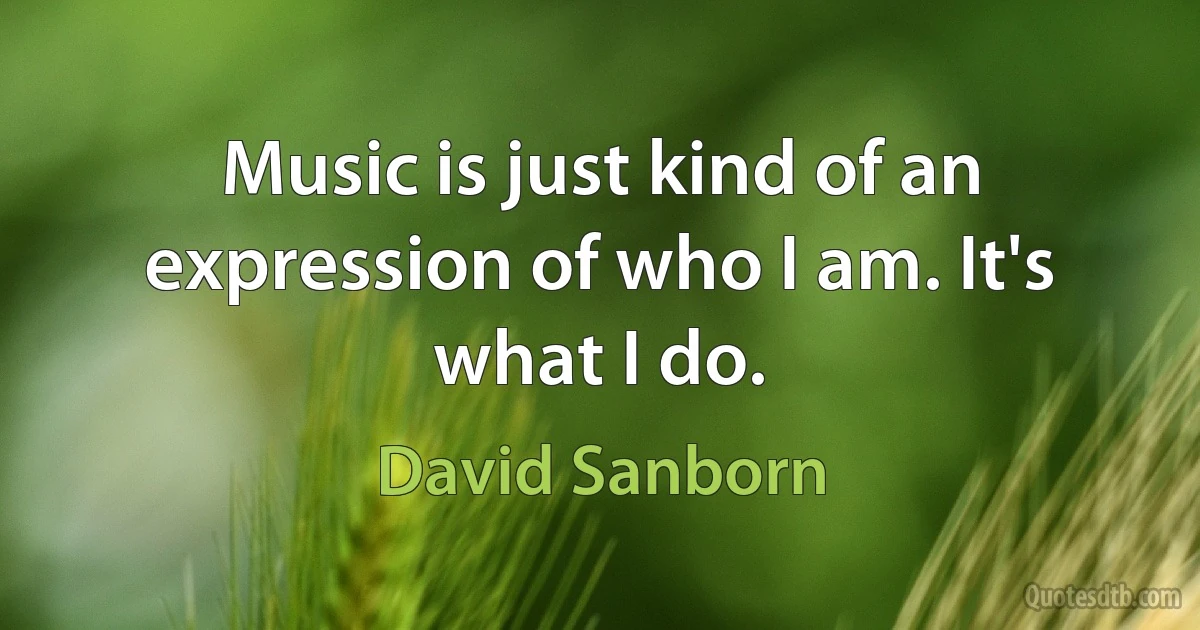 Music is just kind of an expression of who I am. It's what I do. (David Sanborn)