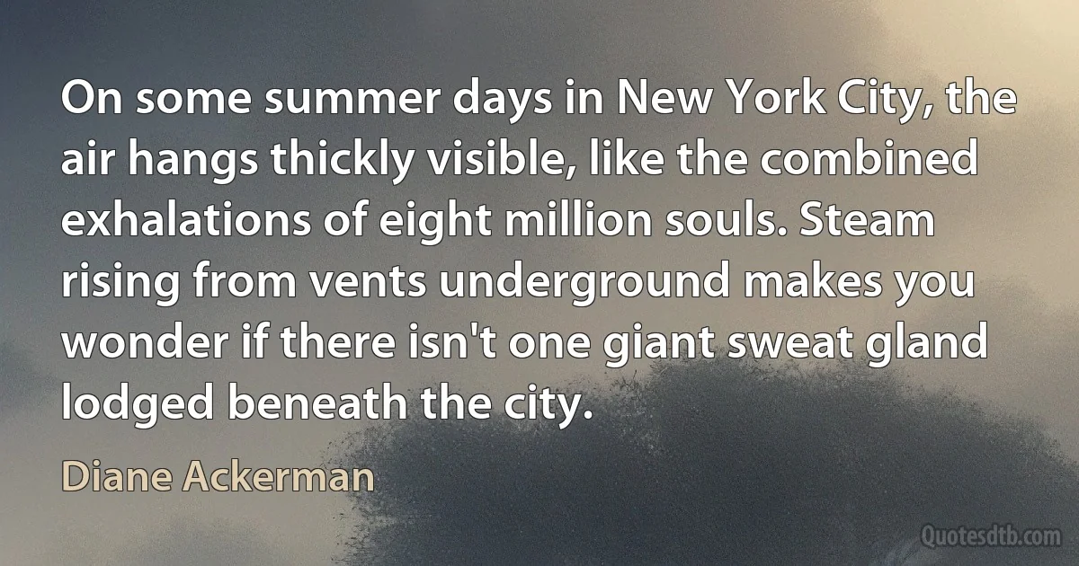 On some summer days in New York City, the air hangs thickly visible, like the combined exhalations of eight million souls. Steam rising from vents underground makes you wonder if there isn't one giant sweat gland lodged beneath the city. (Diane Ackerman)