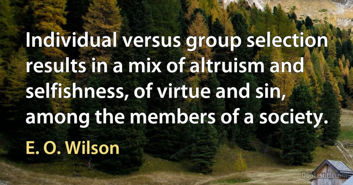 Individual versus group selection results in a mix of altruism and selfishness, of virtue and sin, among the members of a society. (E. O. Wilson)