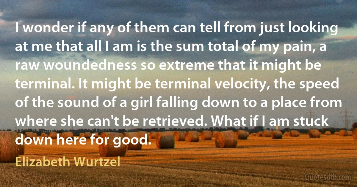 I wonder if any of them can tell from just looking at me that all I am is the sum total of my pain, a raw woundedness so extreme that it might be terminal. It might be terminal velocity, the speed of the sound of a girl falling down to a place from where she can't be retrieved. What if I am stuck down here for good. (Elizabeth Wurtzel)