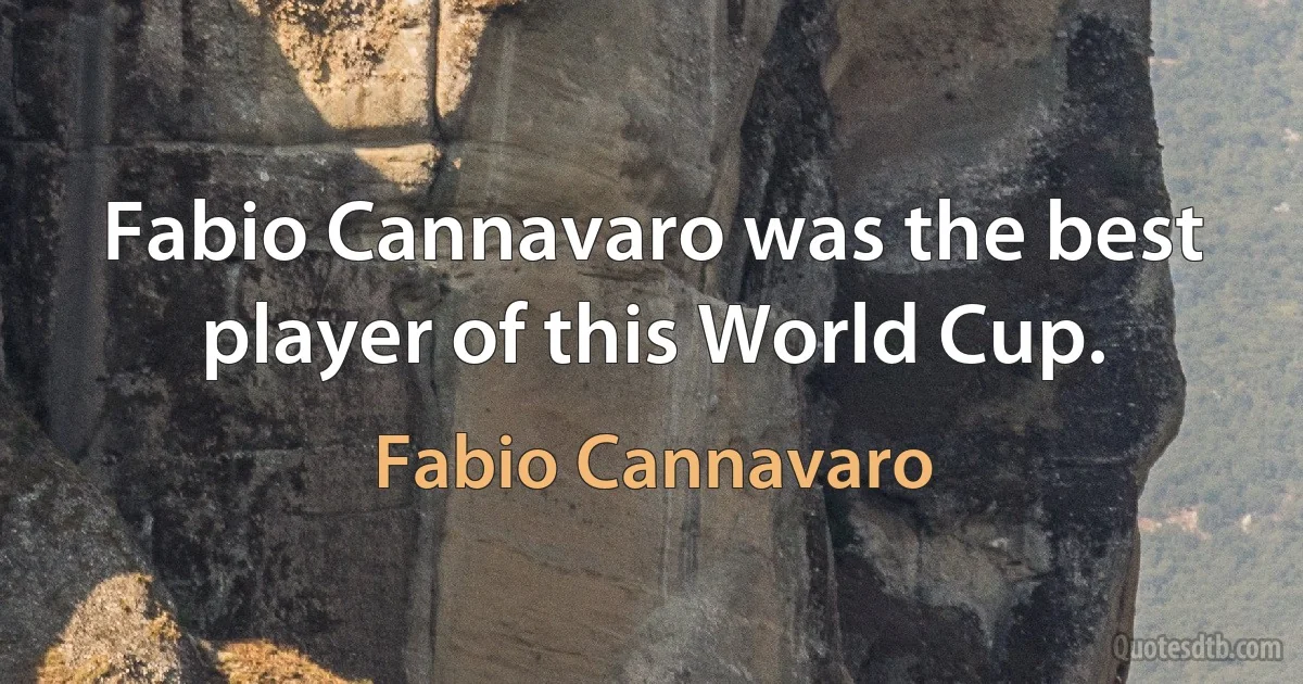 Fabio Cannavaro was the best player of this World Cup. (Fabio Cannavaro)