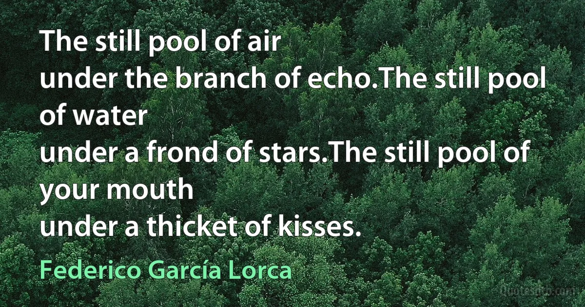 The still pool of air
under the branch of echo.The still pool of water
under a frond of stars.The still pool of your mouth
under a thicket of kisses. (Federico García Lorca)