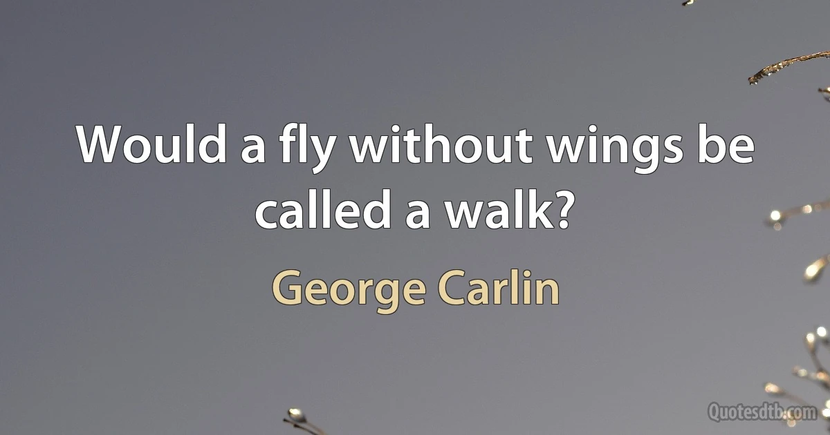 Would a fly without wings be called a walk? (George Carlin)