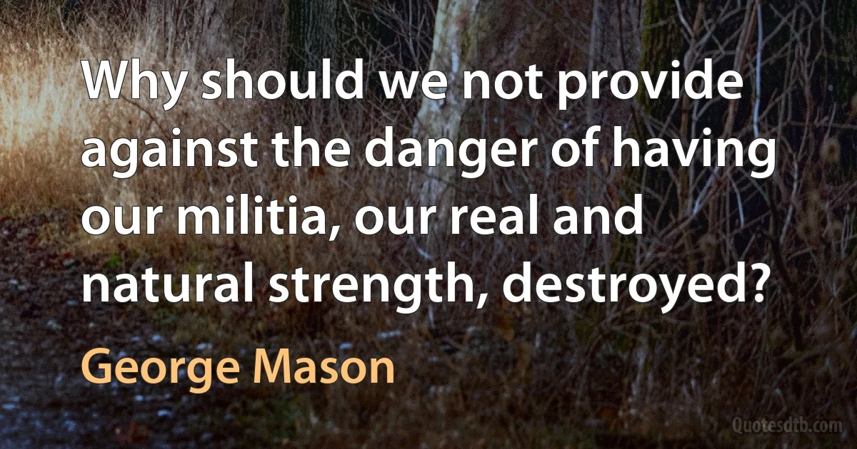 Why should we not provide against the danger of having our militia, our real and natural strength, destroyed? (George Mason)