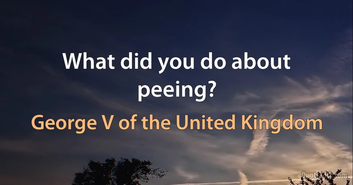 What did you do about peeing? (George V of the United Kingdom)