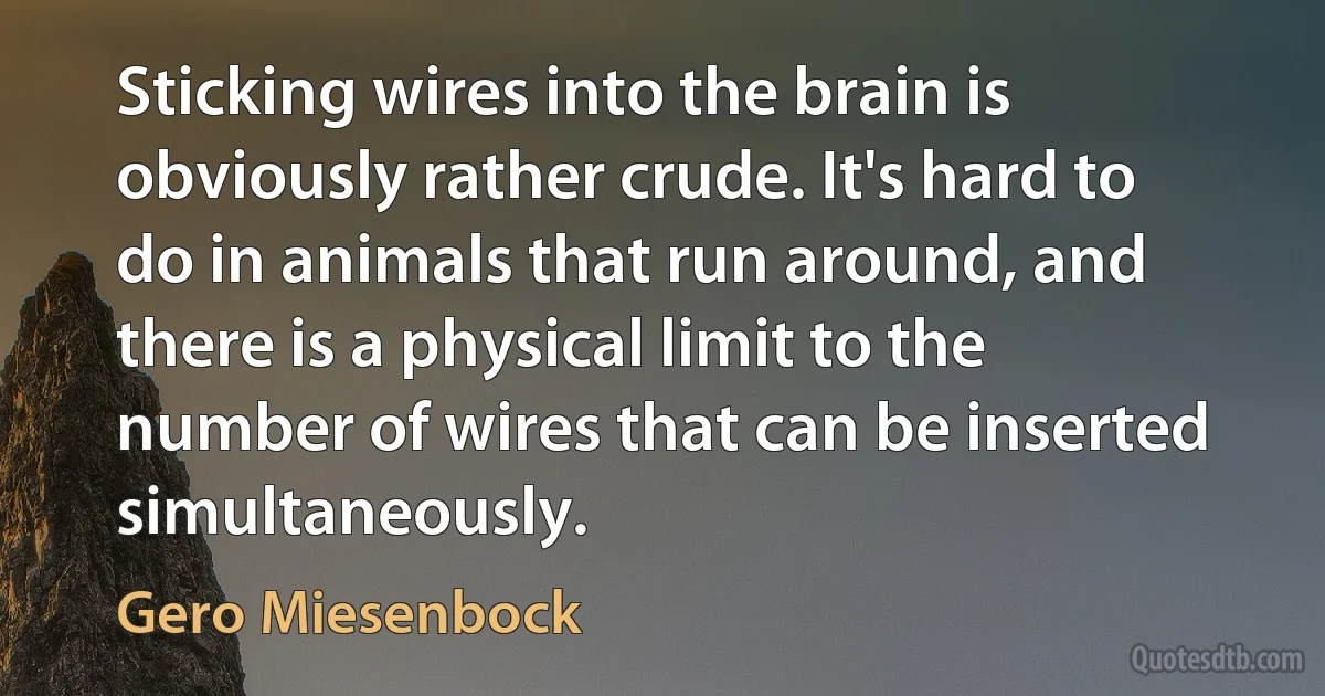 Sticking wires into the brain is obviously rather crude. It's hard to do in animals that run around, and there is a physical limit to the number of wires that can be inserted simultaneously. (Gero Miesenbock)