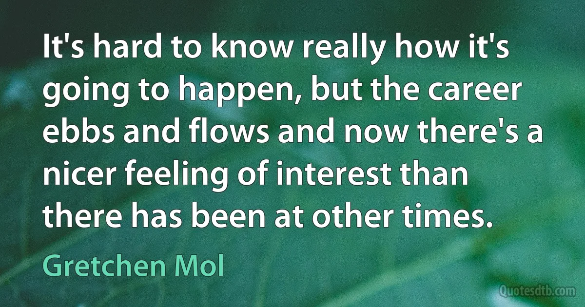 It's hard to know really how it's going to happen, but the career ebbs and flows and now there's a nicer feeling of interest than there has been at other times. (Gretchen Mol)