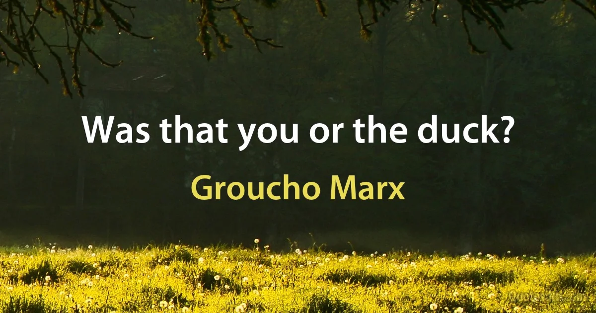 Was that you or the duck? (Groucho Marx)