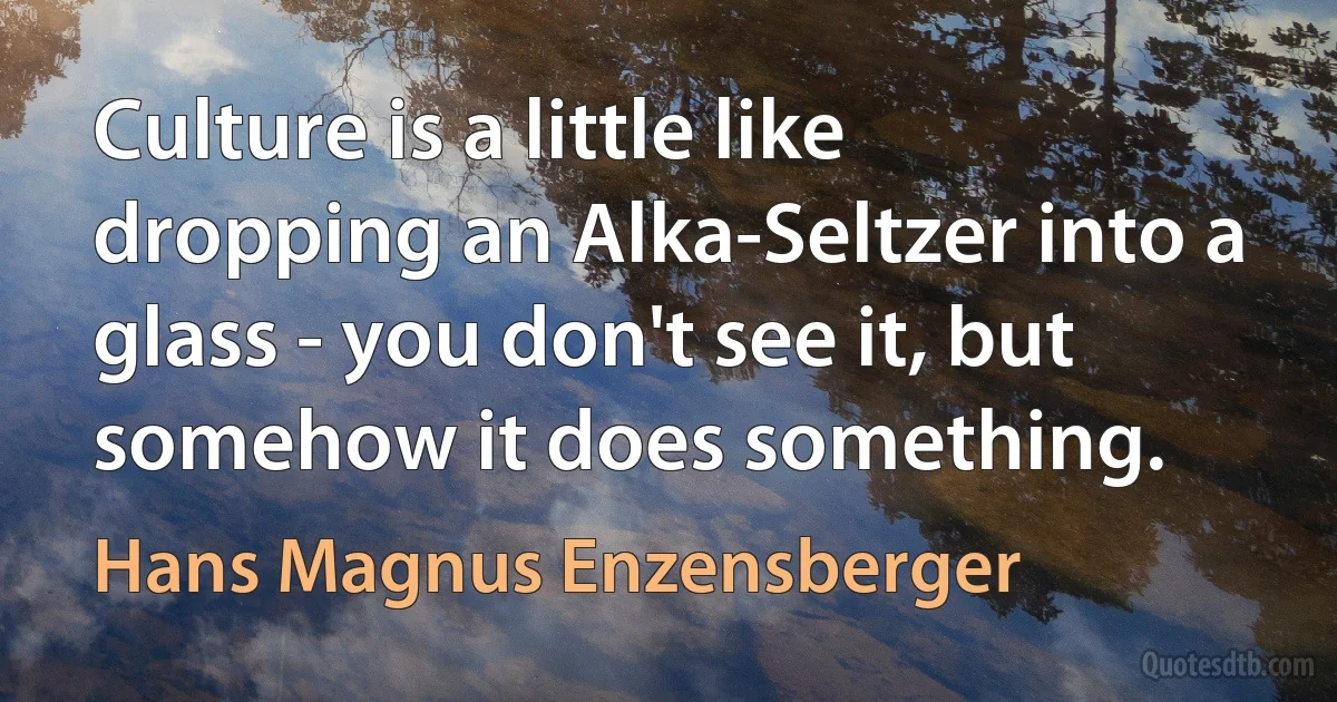 Culture is a little like dropping an Alka-Seltzer into a glass - you don't see it, but somehow it does something. (Hans Magnus Enzensberger)