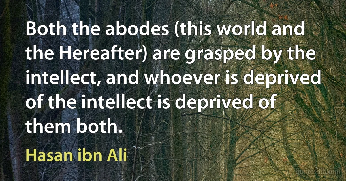 Both the abodes (this world and the Hereafter) are grasped by the intellect, and whoever is deprived of the intellect is deprived of them both. (Hasan ibn Ali)