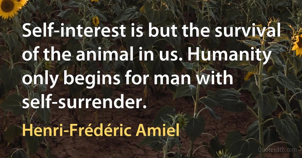 Self-interest is but the survival of the animal in us. Humanity only begins for man with self-surrender. (Henri-Frédéric Amiel)