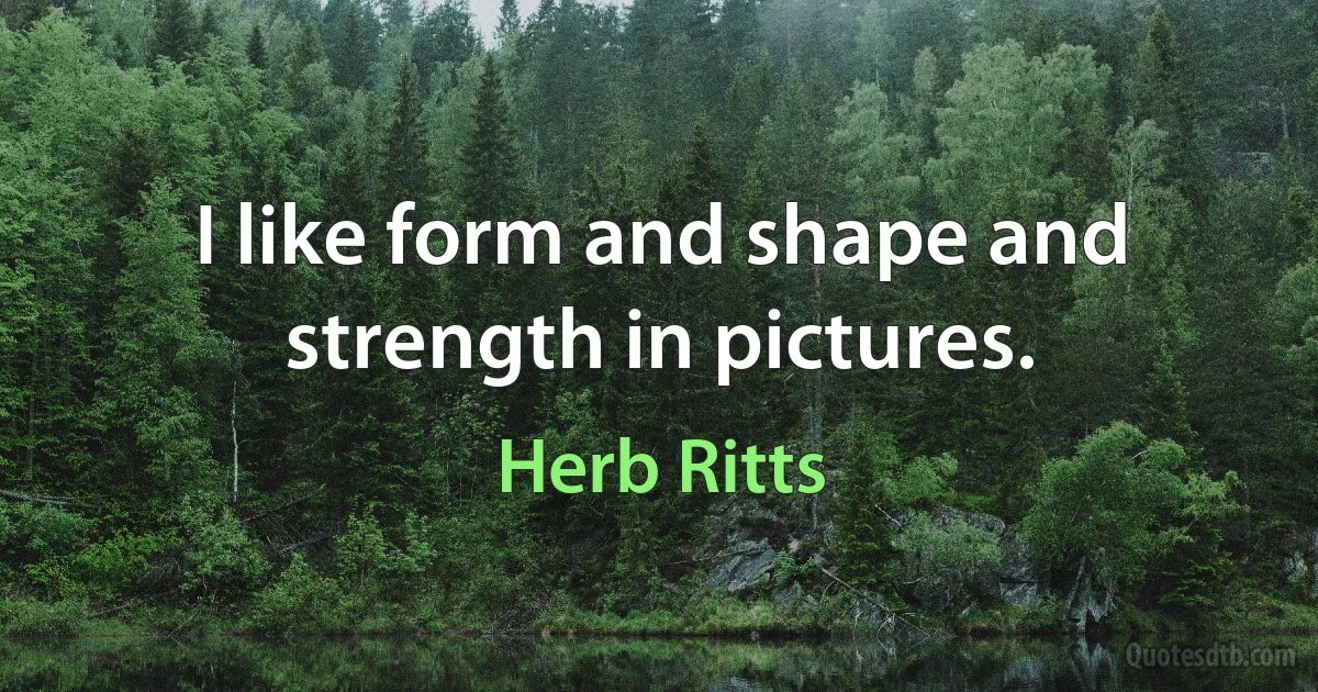 I like form and shape and strength in pictures. (Herb Ritts)