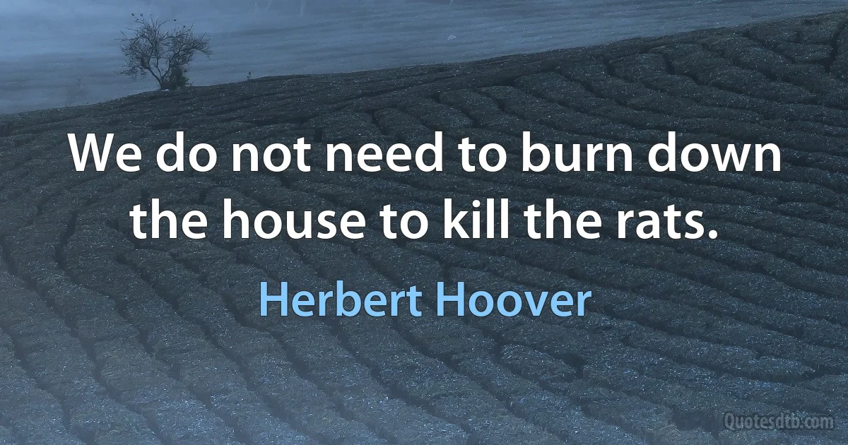 We do not need to burn down the house to kill the rats. (Herbert Hoover)