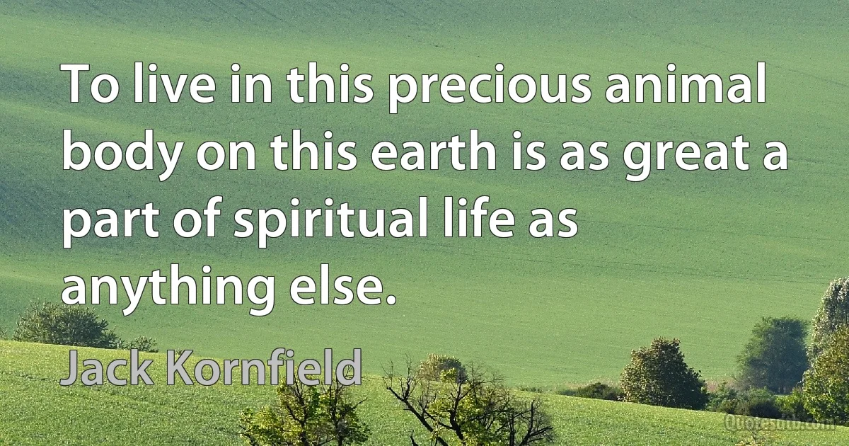 To live in this precious animal body on this earth is as great a part of spiritual life as anything else. (Jack Kornfield)