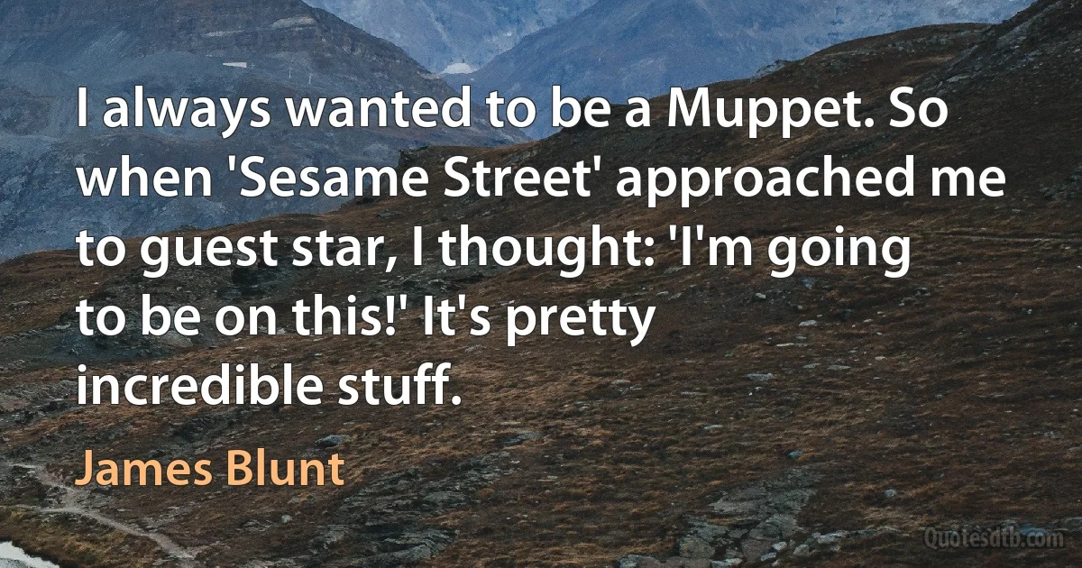 I always wanted to be a Muppet. So when 'Sesame Street' approached me to guest star, I thought: 'I'm going to be on this!' It's pretty incredible stuff. (James Blunt)