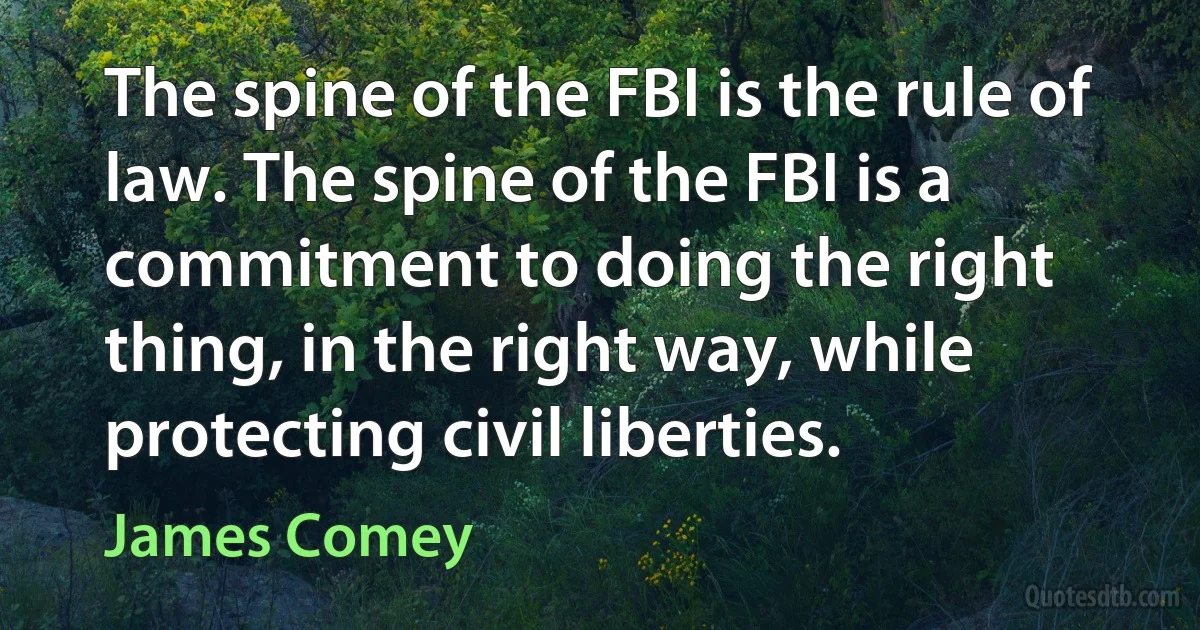 The spine of the FBI is the rule of law. The spine of the FBI is a commitment to doing the right thing, in the right way, while protecting civil liberties. (James Comey)