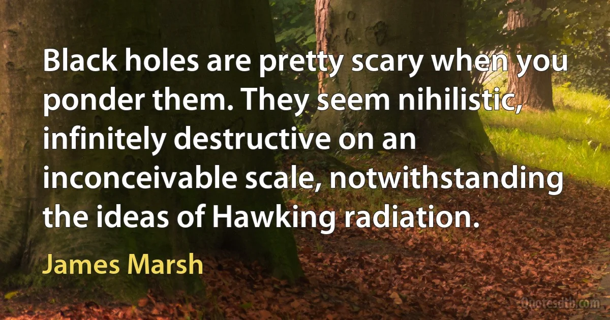 Black holes are pretty scary when you ponder them. They seem nihilistic, infinitely destructive on an inconceivable scale, notwithstanding the ideas of Hawking radiation. (James Marsh)