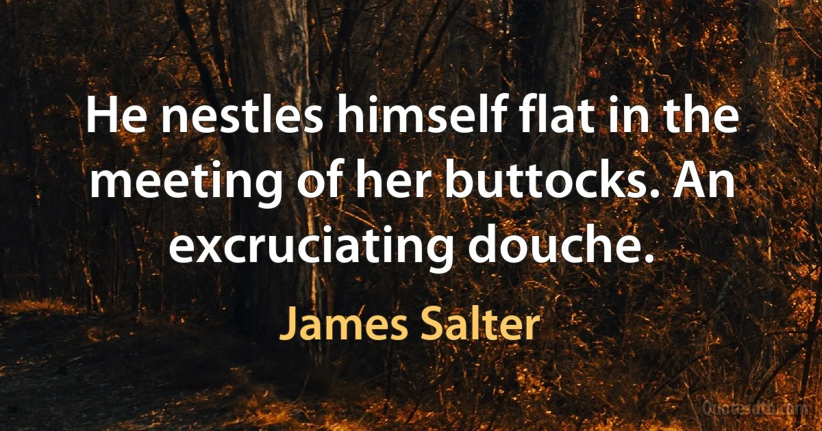 He nestles himself flat in the meeting of her buttocks. An excruciating douche. (James Salter)