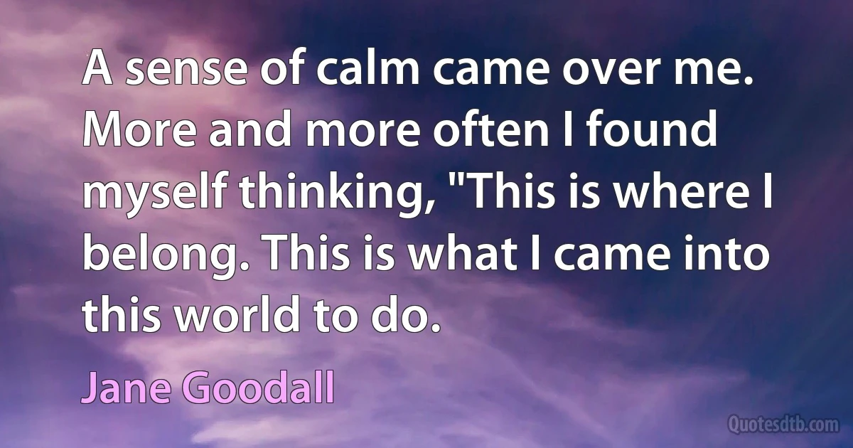 A sense of calm came over me. More and more often I found myself thinking, "This is where I belong. This is what I came into this world to do. (Jane Goodall)