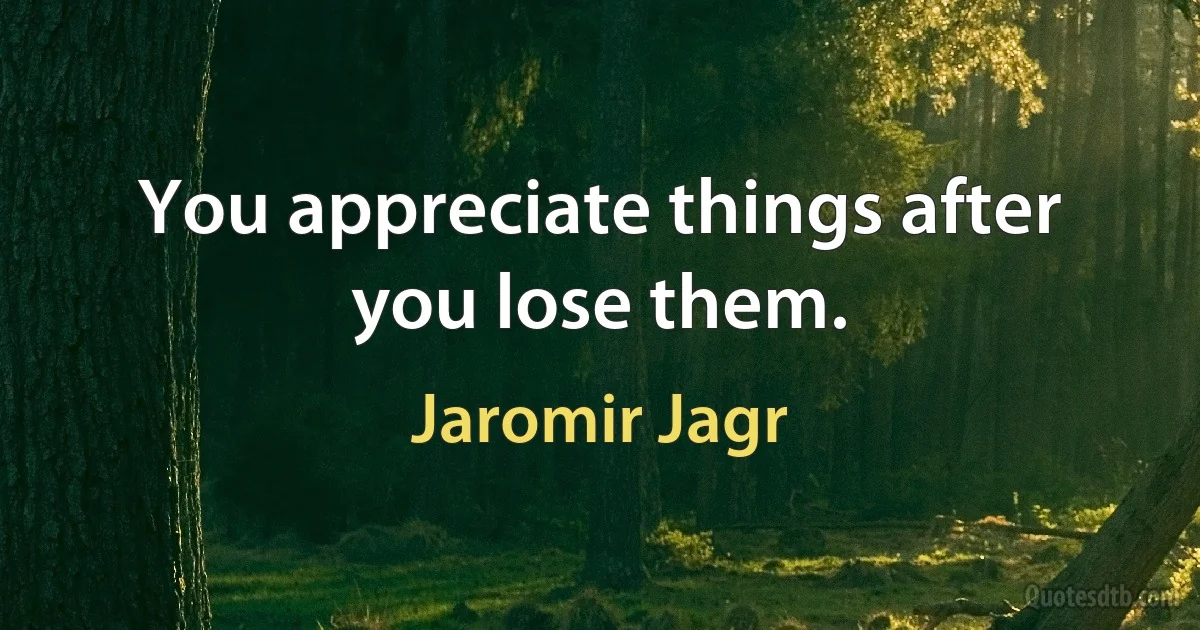 You appreciate things after you lose them. (Jaromir Jagr)