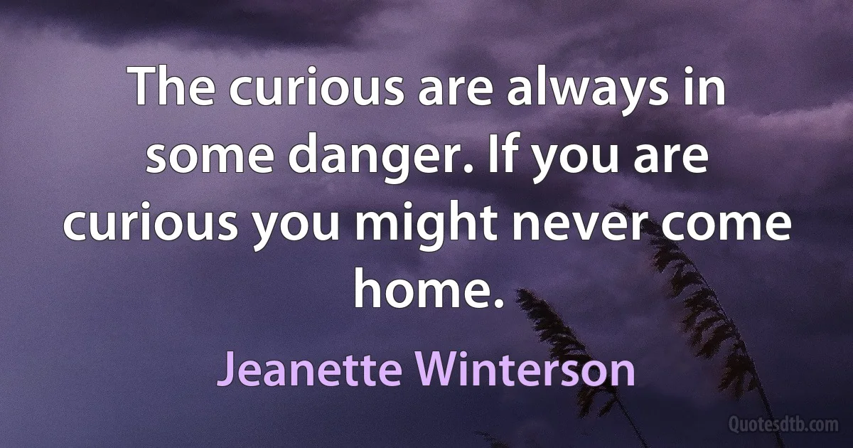 The curious are always in some danger. If you are curious you might never come home. (Jeanette Winterson)