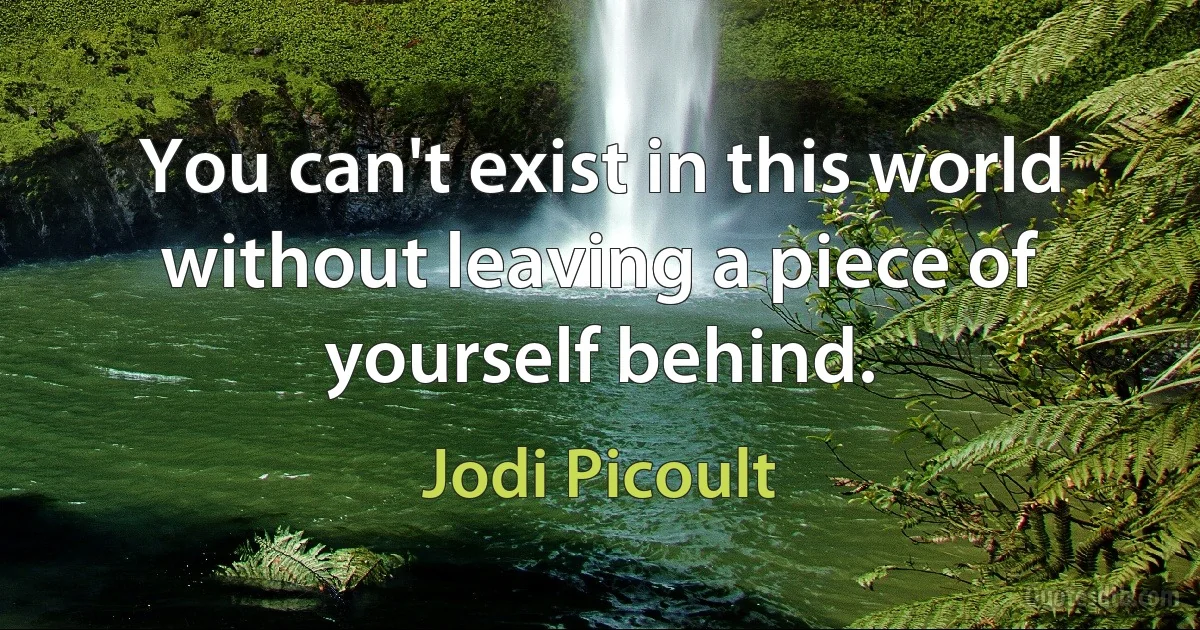 You can't exist in this world without leaving a piece of yourself behind. (Jodi Picoult)