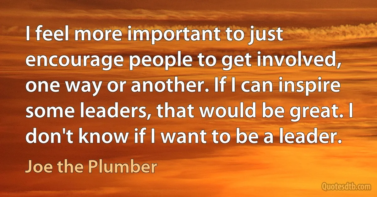 I feel more important to just encourage people to get involved, one way or another. If I can inspire some leaders, that would be great. I don't know if I want to be a leader. (Joe the Plumber)